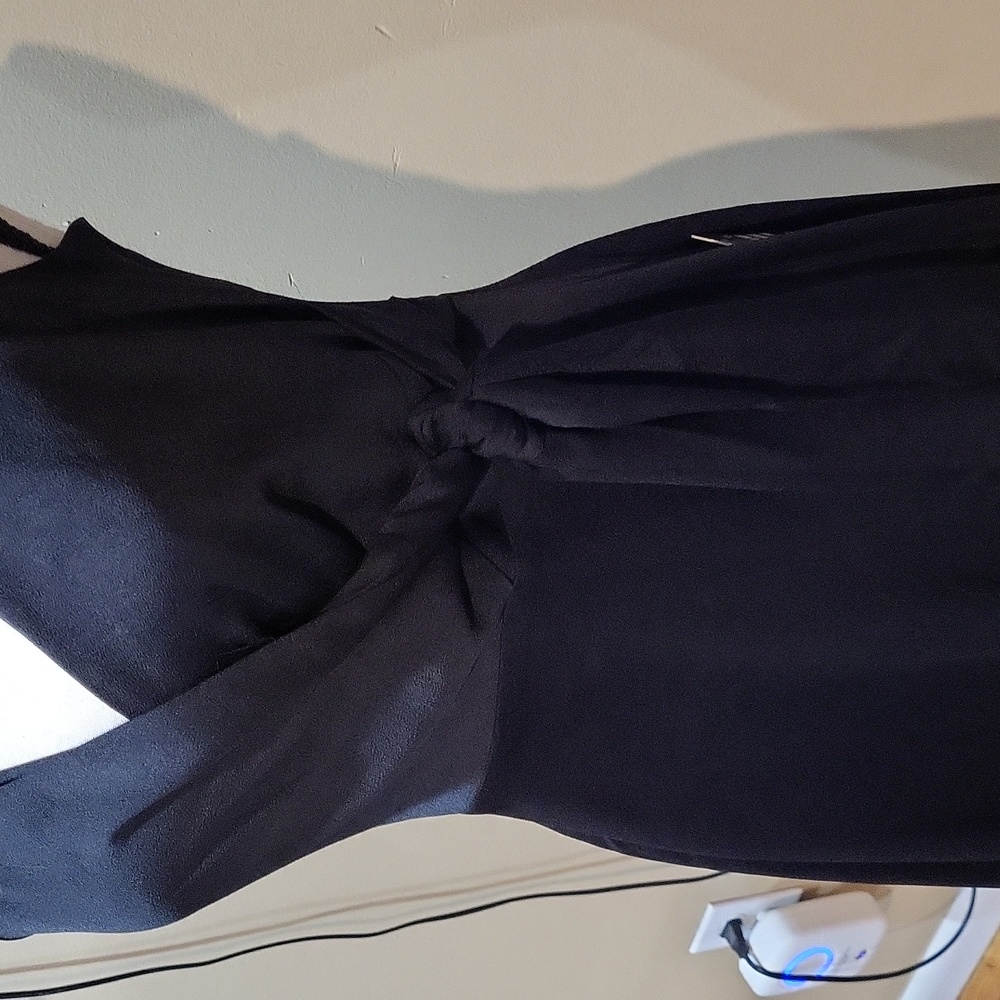 Express Dress - Picture 4 of 14